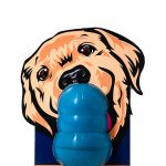 PlayDog Chew XL Junior