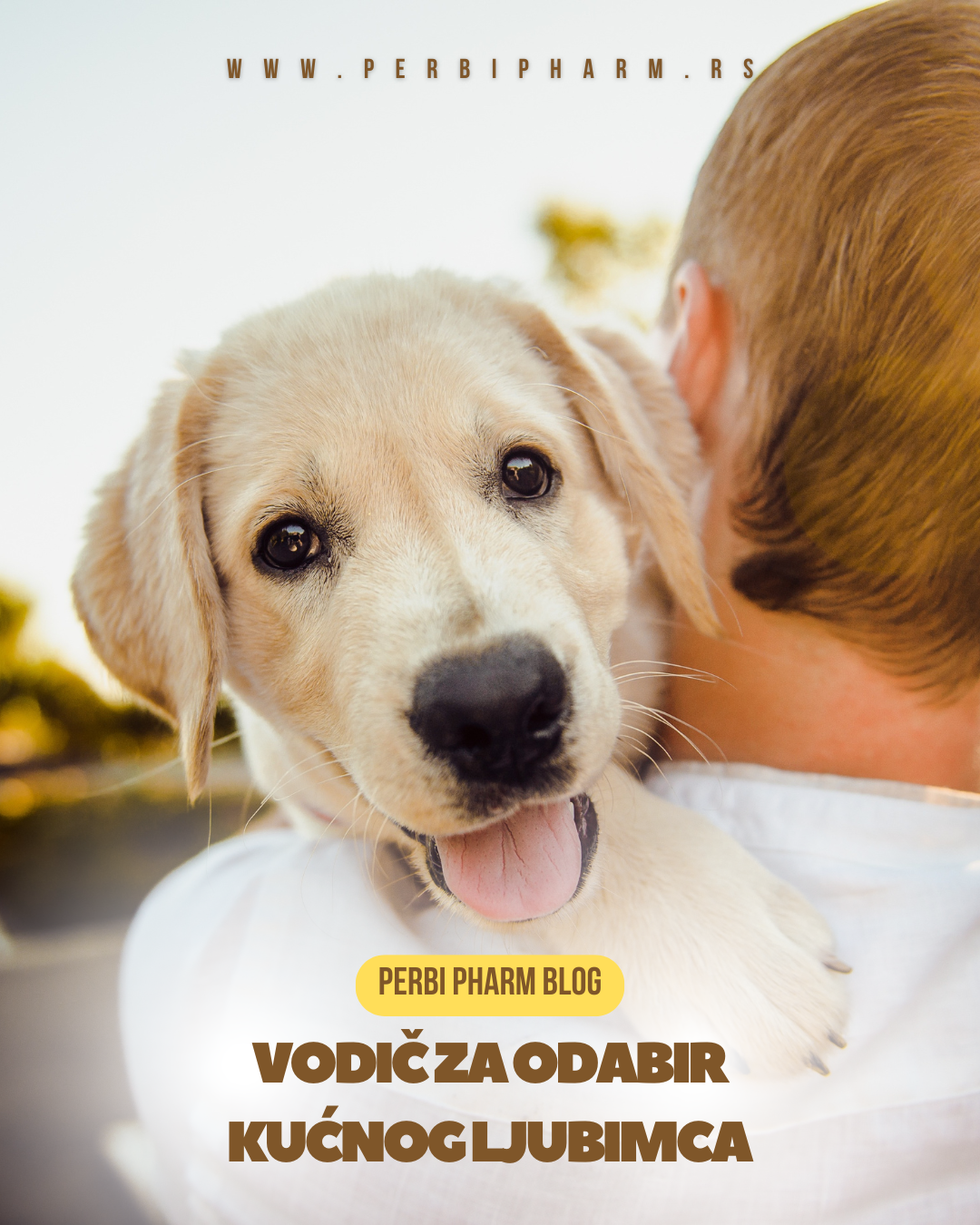 Story para Instagram de dia dos animais fofo branco amarelo Instagram Post 45 hrana i oprema za kucne ljubimce